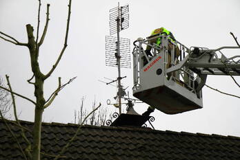 brand de achterste singel weert