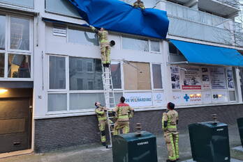 natuur willem silviusstraat den haag