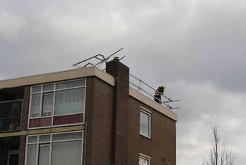 natuur asterlaan oegstgeest