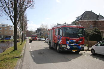 natuur teijlingerlaan sassenheim
