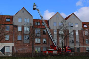natuur beenhouwerssingel middelburg