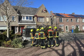 natuur julianaplein boskoop