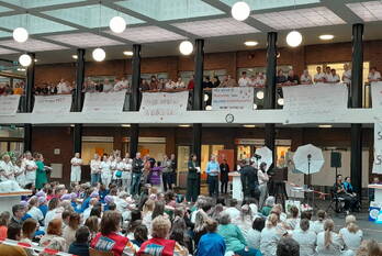 nieuws maasstadweg rotterdam