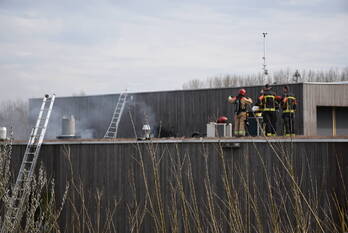 brand hoendiep groningen