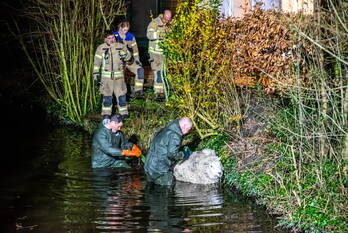 nieuws molendijk rhoon