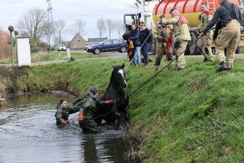 nieuws scheitweekseweg oostvoorne