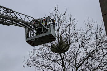natuur leidseweg voorschoten