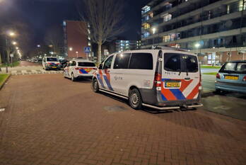 steekincident de palmen grift veenendaal
