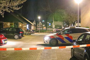 nieuws roerdomp blaricum