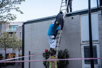 nieuws strawinskiplein rhoon