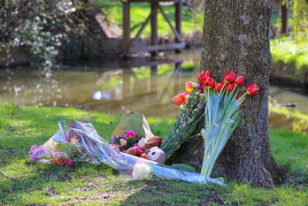 nieuws slotplaats huizen