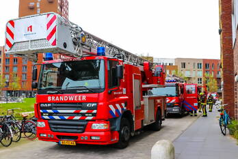 brand epsilonplantsoen leiden