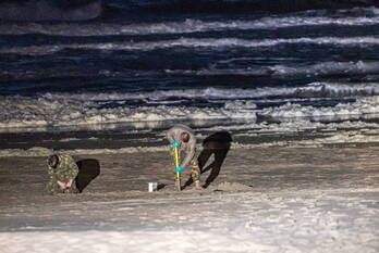 nieuws lukas schoonderbeekstraat hillegom
