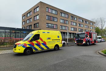 nieuws bernard de wildestraat breda