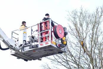 nieuws galjoen 13 lelystad