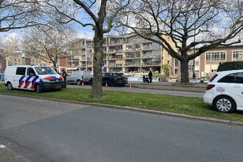 nieuws nieuwe haven schiedam