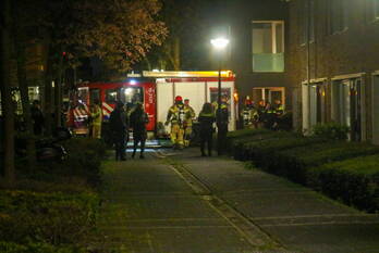 brand shetlandpad amsterdam