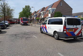 nieuws koolmees ridderkerk