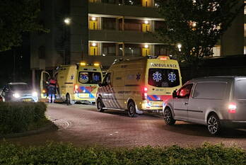 nieuws de tinneweide veenendaal