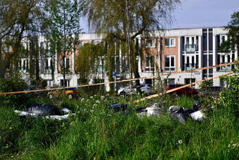 milieu omweg assendelft