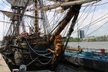 nieuws holland amerikakade rotterdam