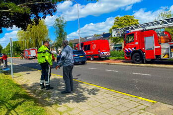 nieuws koningin wilhelminasingel waddinxveen