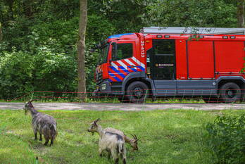 nieuws leeuwerikweg almere