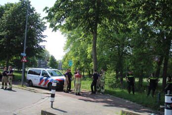 nieuws smeetslandsedijk rotterdam