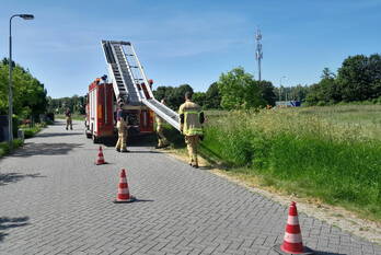 nieuws pruimendijk ridderkerk