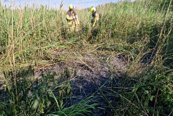 brand krilpad krimpen aan de lek