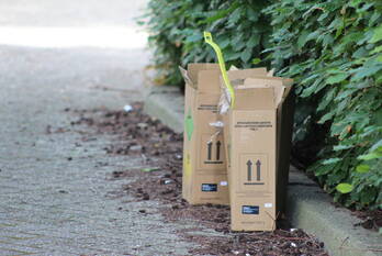 nieuws kelvinring alblasserdam