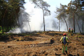 brand geuzendijk budel