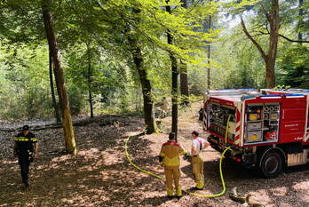 brand pinetumpad amersfoort