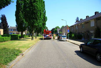 nieuws groenewoudlaan weert