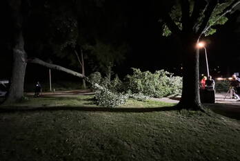 natuur groenezoom waddinxveen