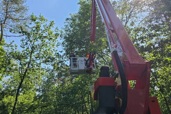 natuur dikkenbergweg bennekom