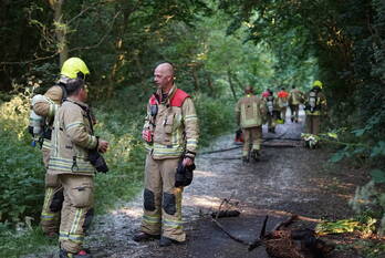 brand molendijk melissant