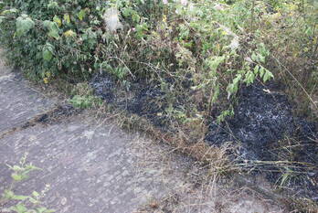 brand gooweg noordwijk