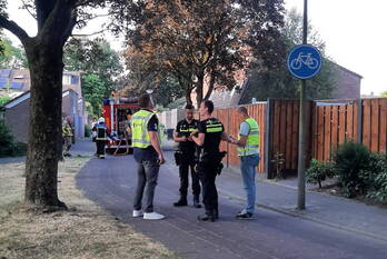 brand hondsdrafmeen harderwijk