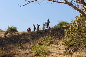 brand sportlaan katwijk