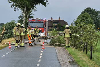 natuur meentweg bennekom