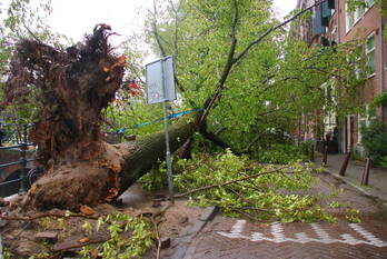 natuur oudeschans amsterdam
