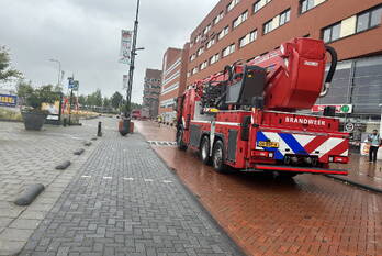 natuur hanzelaan zwolle