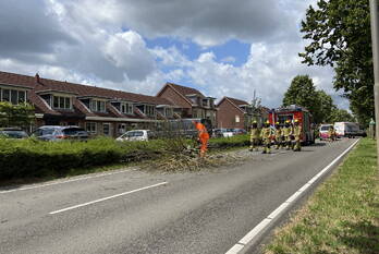 natuur antoniuslaan hendrik-ido-ambacht