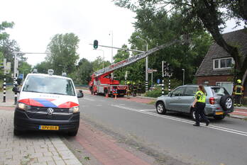 natuur rijnstraat katwijk