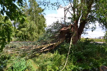 natuur groenezoom waddinxveen