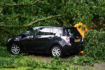 natuur du perronlaan groningen