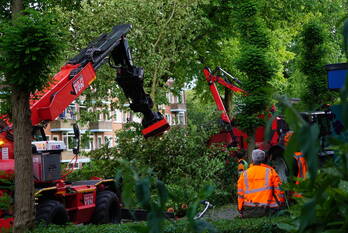 natuur verweystraat groningen