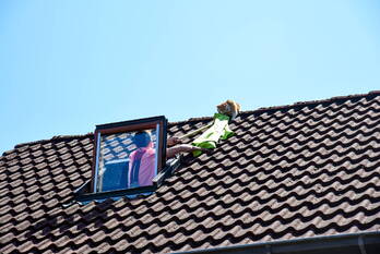 nieuws kruisvaarder rhoon