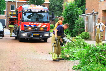 natuur ariënsstraat weert